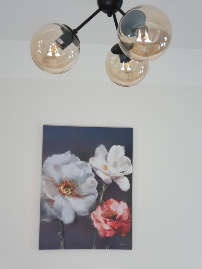 Apartment Cesu Majas Rigas Iela
